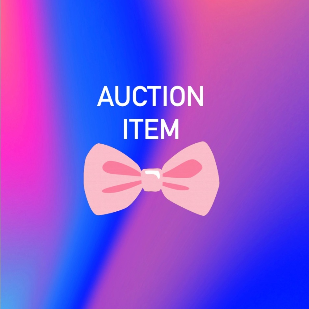 COPY - Live Auction Item